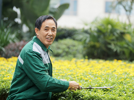 蘇大維格綠化養護項目